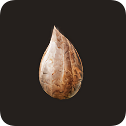 mitoza��Ϸ�ֻ���