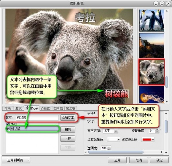 艾奇视频电子相册制作软件 艾奇视频电子相册制作软件