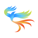 飞风社交APP 安卓版V2.2.5