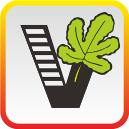 ��Ҫ��ѧ��