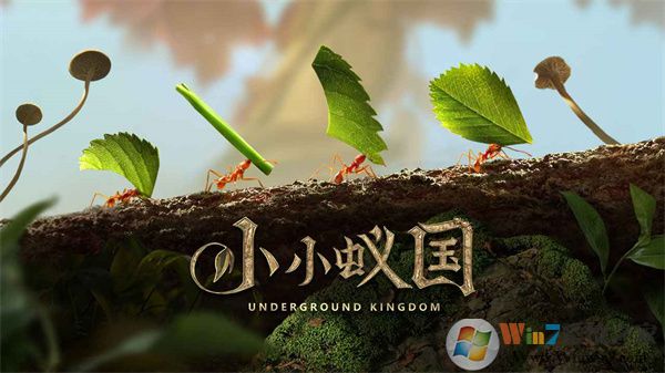 СС�Ϲ������ڹ��ƽ��