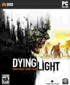 ���ŵĹ�â��ǿ���ʮ�����޸���