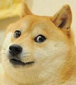 斗图神器app v6.0.1.3最新版