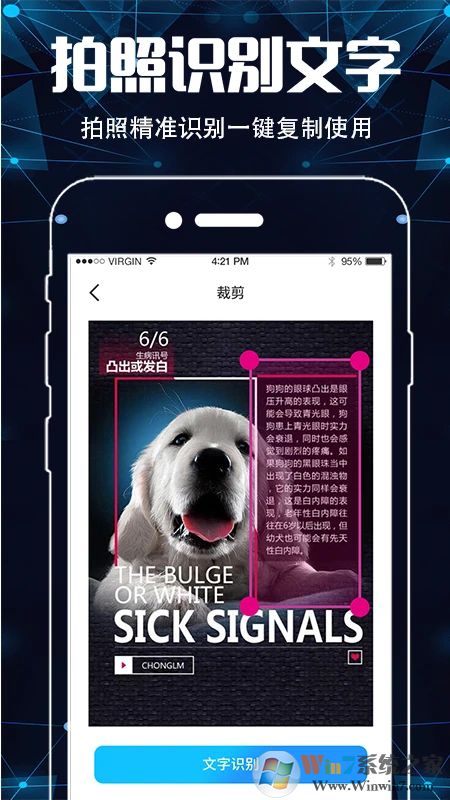 �ֻ�ɨ����APP