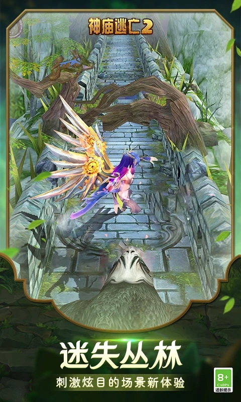 ��������2����