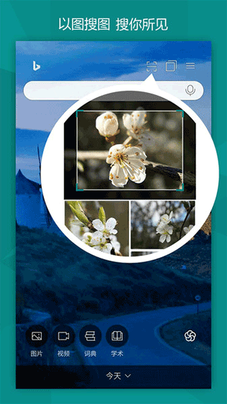 微软bing搜索引擎手机版