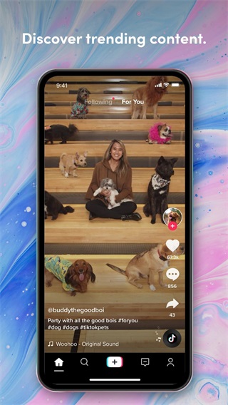 �й��涶��