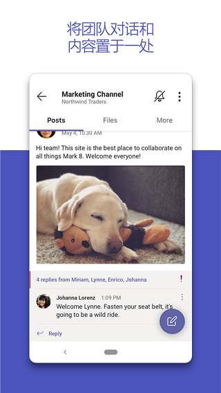 teams����APP