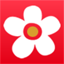 �����׶������°�