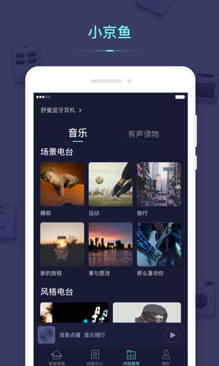 小京鱼app最新版