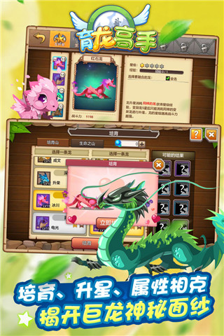 育龙高手最新破解版