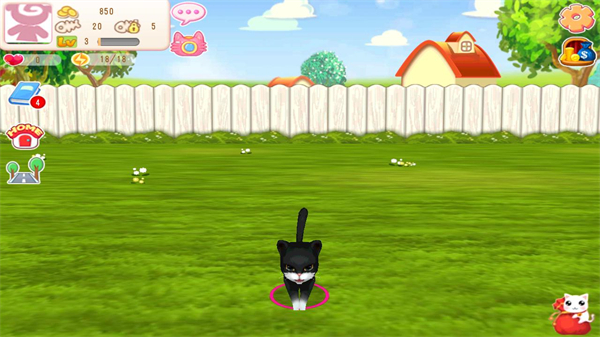 ����Сè���°�