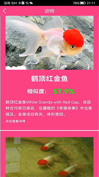 ����ʶ������APP