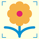 拍照识花神器APP