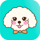 ���﷭��APP���°�