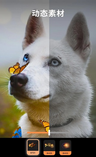 小狐狸动画制作APP最新版