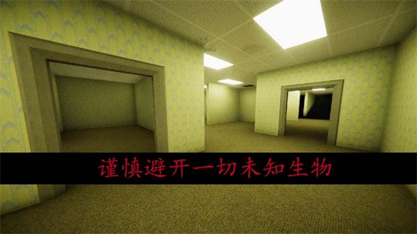 �ֲ���������