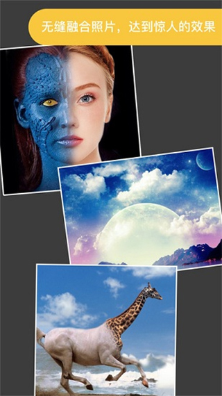 ProKnockout���ܿ�ͼAPP