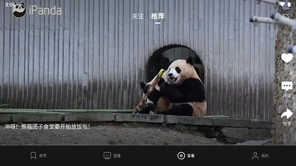 央视影音车载版