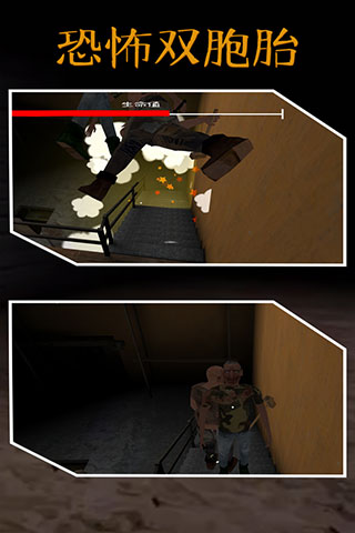 �ֲ�˫��̥�����ƽ��