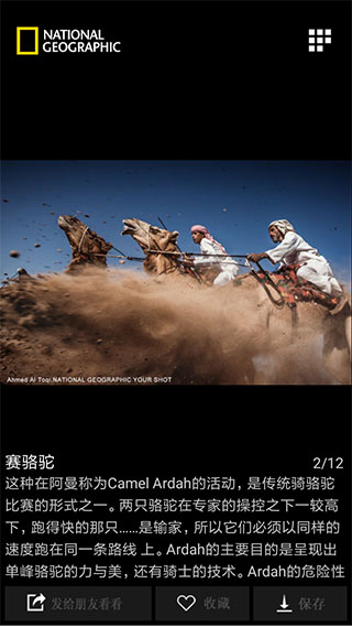 ÿ�վ�ѡ2023���°�