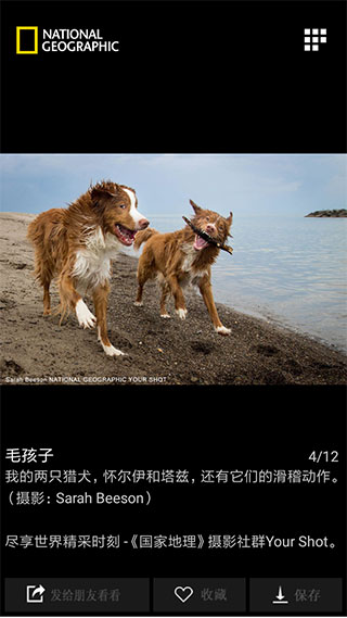 ÿ�վ�ѡ2023���°�