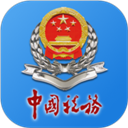 ���ɹ�˰��APP ��׿��V9.4.161