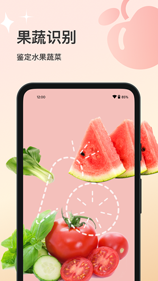 ����ʶ��APP