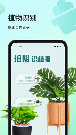 花卉识别APP