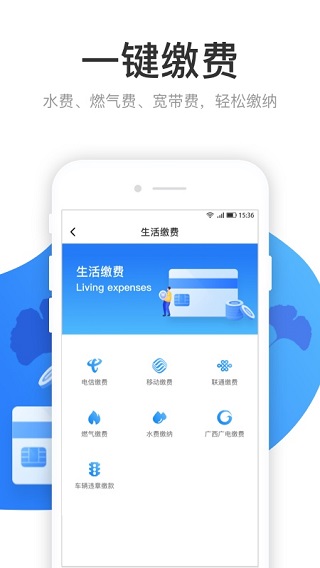 柳州龙城市民云