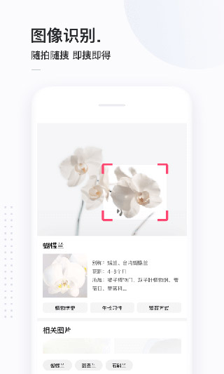 简单搜索APP(永无广告)