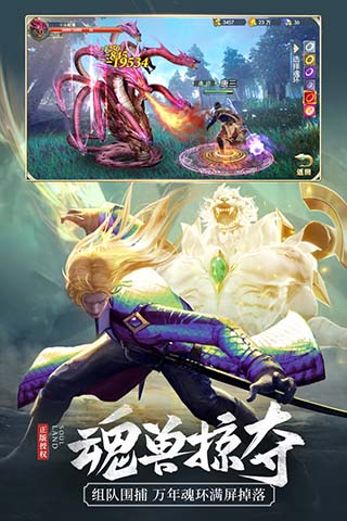 ���޴�½����