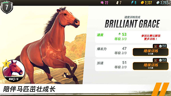���崫����ƥ���ɾ����ֻ���