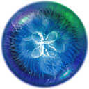 �������İ�