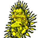 ȭ��97�ռ�֮ս���°�