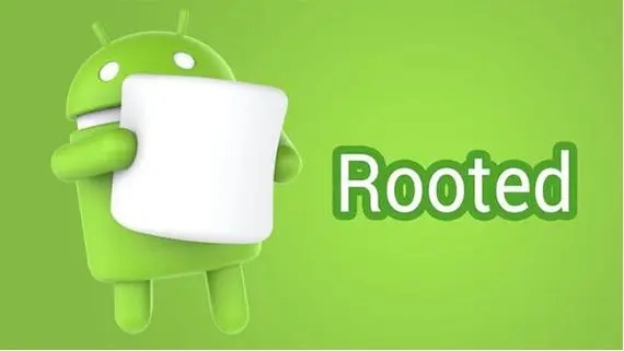 Root��������_�ֻ�Root����_һ��Root����[��ѡ����2023]