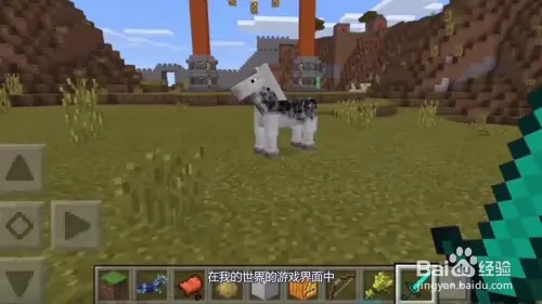 我的世界怎么驯服马
