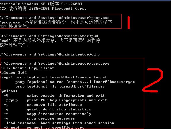 pscp.exe下载地址