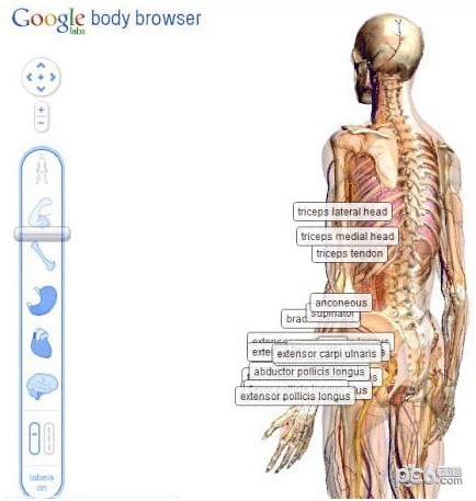 �ȸ���������� V39.0PC������