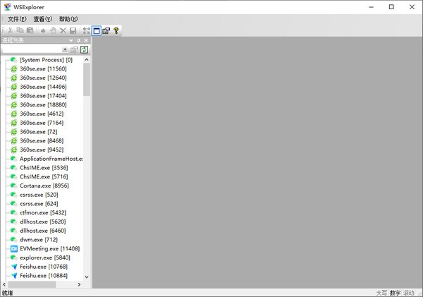 WSExplorer(����ץ������) V1.5��ɫ������