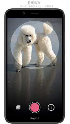 ����ʶ��APP��Ѱ�