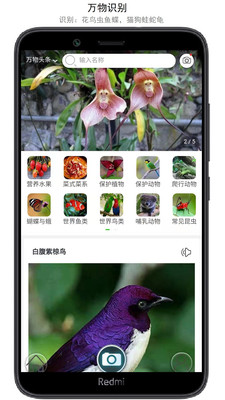 ����ʶ��APP��Ѱ�