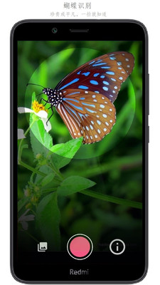 万物识别APP免费版