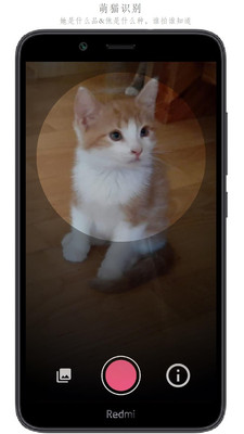 万物识别APP免费版