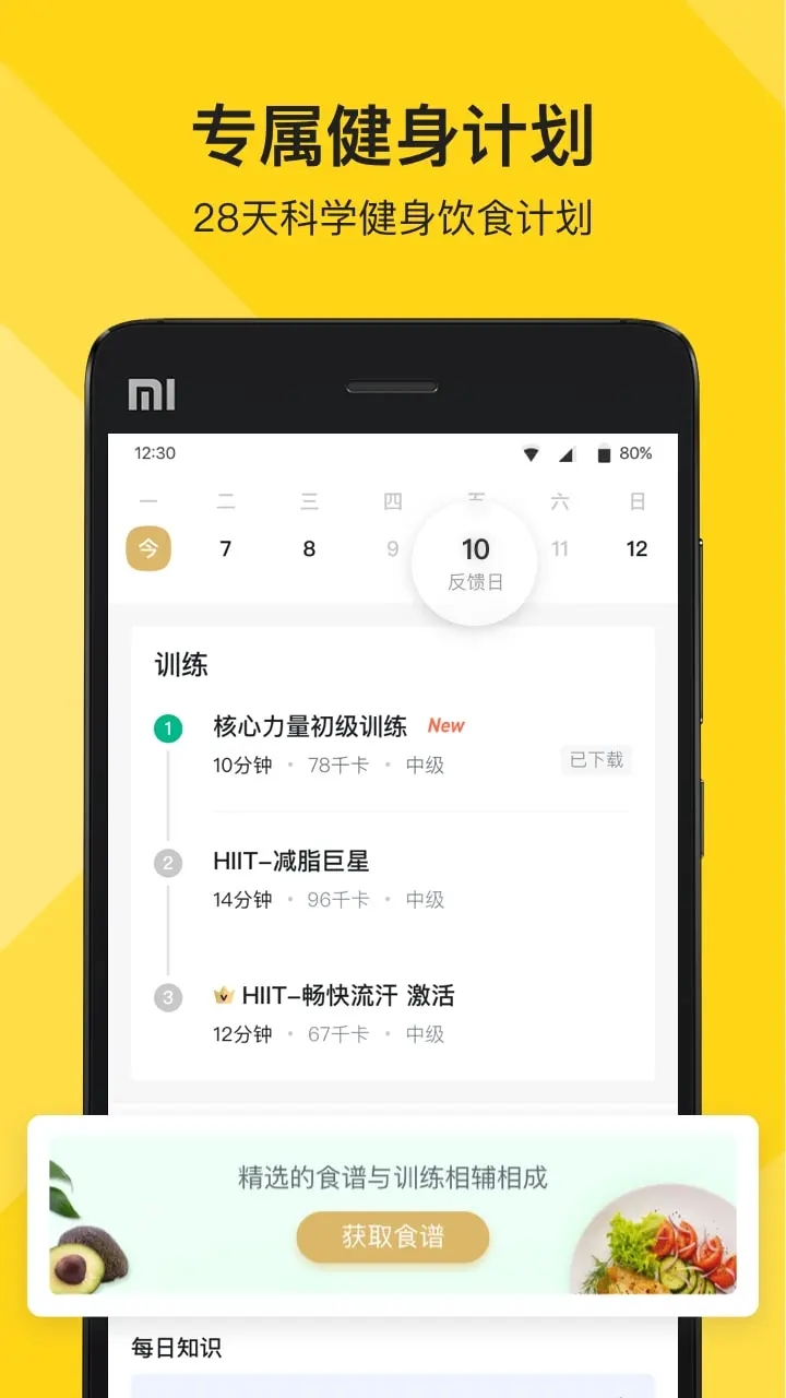 Fit����2023���°汾