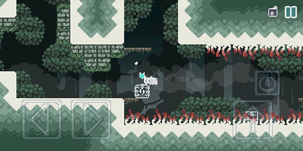 无名的猫最新版