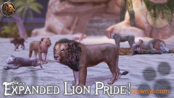 终极狮子模拟器2手机版 终极狮子模拟器2手游