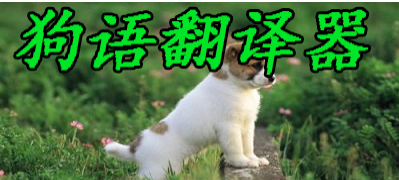 ���﷭����_���﷭������Ѱ�_��ѵĹ��﷭����APP