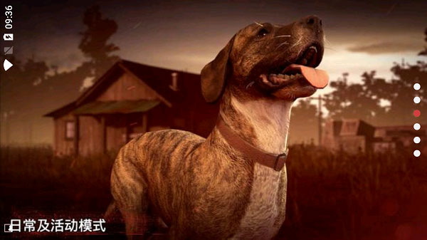 �´����˹�2���޽��