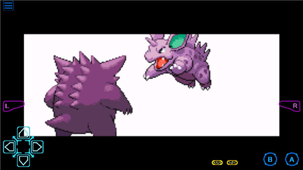 �ڴ������εĹ�����ָ��